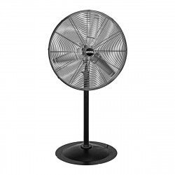 Pedestal Fan