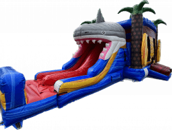 Shark Attack XL Combo (DRY)