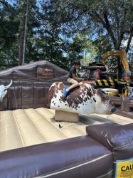 Mechanical Bull