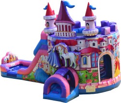 Princess20Castle20Double20Combo20WetDry SL 1 1790005872 Princess Castle Double Lane combo wet/dry