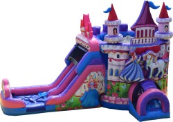 Princess Castle Double Lane combo wet/dry
