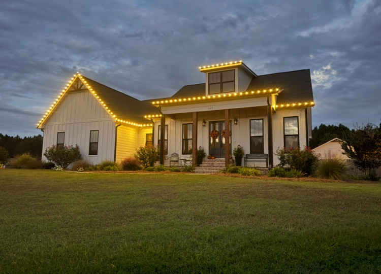 Professional Holiday Lighting