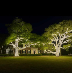 Professional Event Lighting